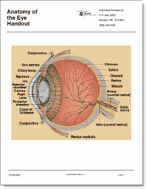 EducationalHandout