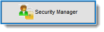 SecurityManager